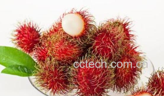 红毛丹怎么吃好 红毛丹的食用方法-1