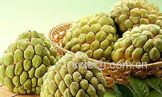 释迦果怎么吃 释迦果的正确吃法图解-0