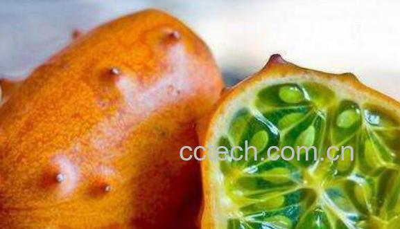 十大最难吃的水果-0