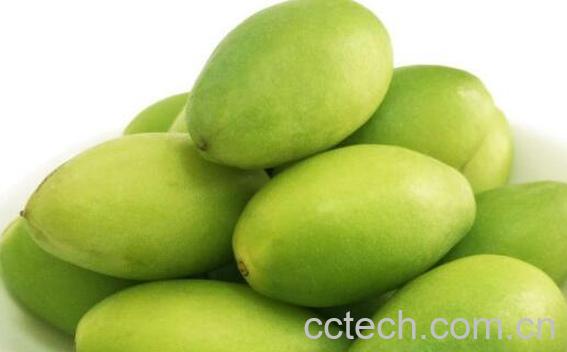 檀香橄榄的功效与作用及禁忌-0