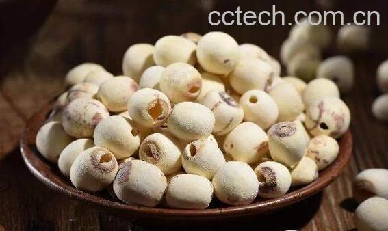莲子龙眼肉的功效与作用-1