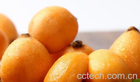 枇杷果如何保存 新鲜枇杷怎么长期保存-0