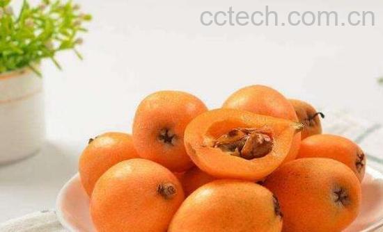 女人吃枇杷的好处 女人吃枇杷的坏处-1