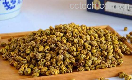 石斛怎么辨别好差 怎么挑选质量好的石斛 -0