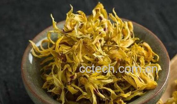 霍山石斛花怎么泡水喝-1