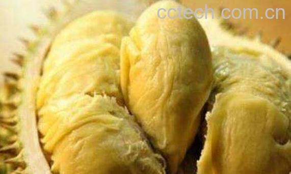 女性晚上吃榴莲的好处 女性吃榴莲的最佳时间-0