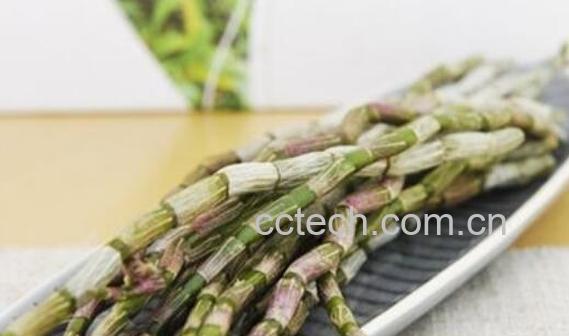 干石斛怎样挑选 干石斛怎么看好坏真假-1