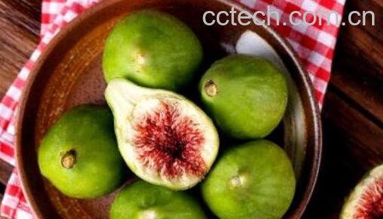 吃无花果的禁忌有哪些 5种人不能吃无花果-1