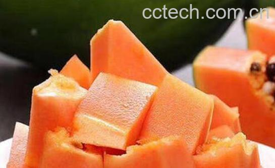 吃木瓜的禁忌有哪些 木瓜相克食物及禁忌-1