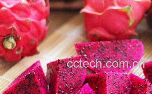 吃红心火龙果的禁忌和副作用-0