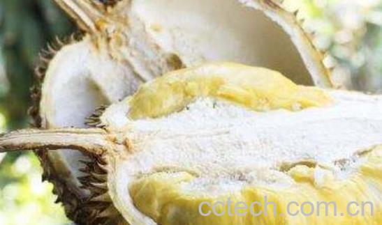 榴莲蜜和菠萝蜜的区别-0