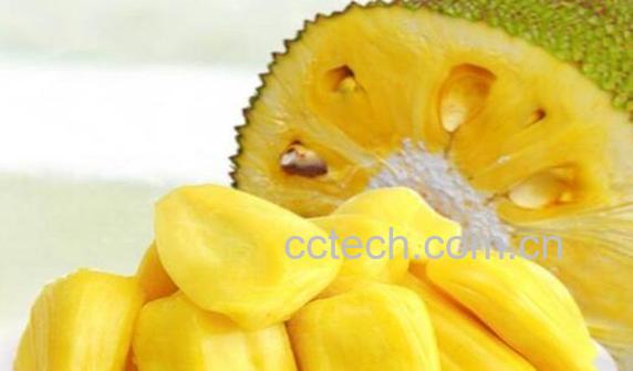 榴莲蜜和菠萝蜜的区别-1