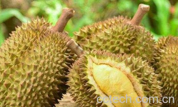 吃榴莲的7大禁忌-0