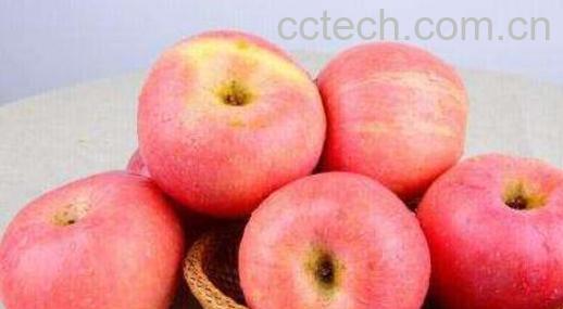 越吃越瘦的10种水果 告诉你最消脂的水果的有哪些-0