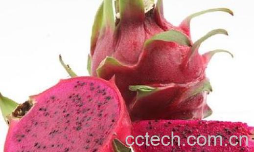 越吃越瘦的10种水果 告诉你最消脂的水果的有哪些-1