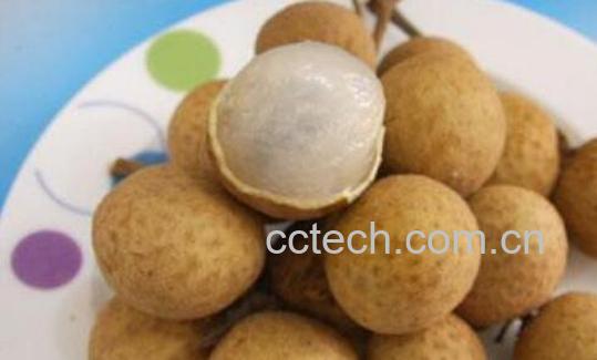 孕妇禁吃十大水果有哪些-0