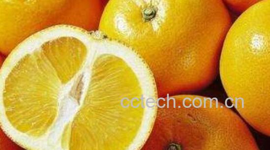 为什么吃胡柚的人不多 胡柚直接吃怎么那么苦-0