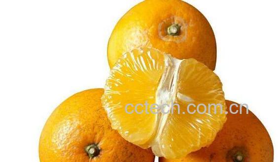 为什么吃胡柚的人不多 胡柚直接吃怎么那么苦-1