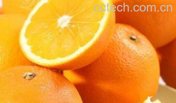 胡柚与橙子的区别 -0