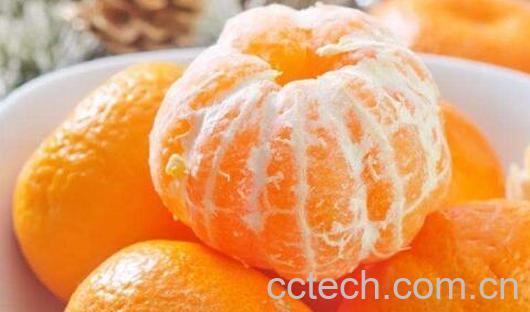 贡桔的功效与作用及禁忌-0