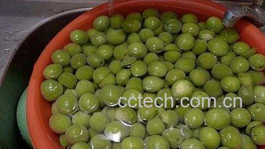 青梅怎么腌制好吃 青梅腌制方法教程-0