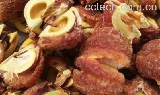 橄榄干果泡水喝的功效与作用-1