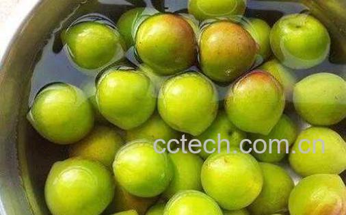 糖腌青梅的功效与作用-1