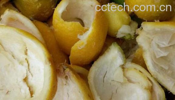 柠檬皮怎么洗干净 柠檬皮怎么处理-1