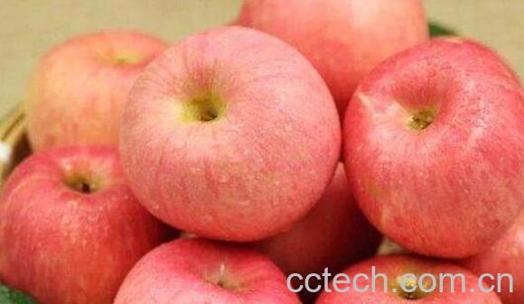 白皮苹果的功效与作用-0