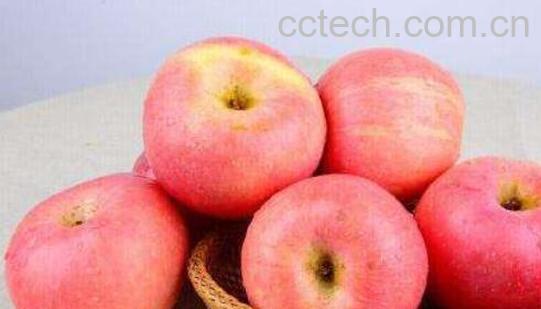 白皮苹果的功效与作用-1