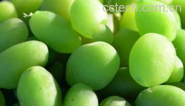 青果的功效与作用 青果的禁忌-0