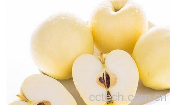 黄元帅的功效与作用-1