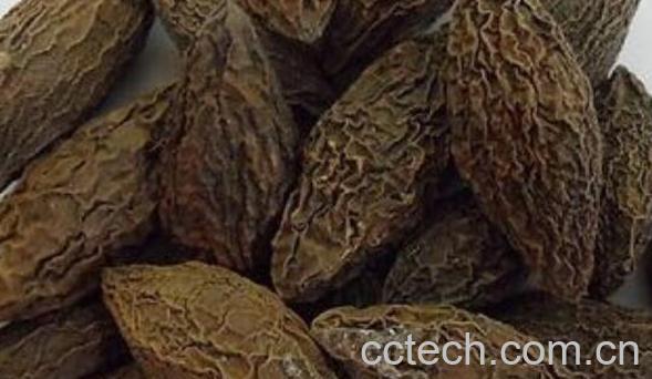 青果泡水的功效与作用-0