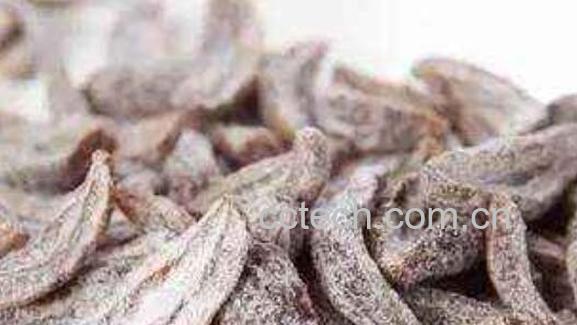 青津果的功效与作用-0