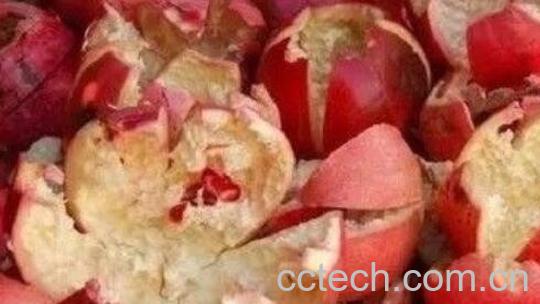 石榴皮泡水喝的禁忌 石榴皮煮水有毒是真的吗-0