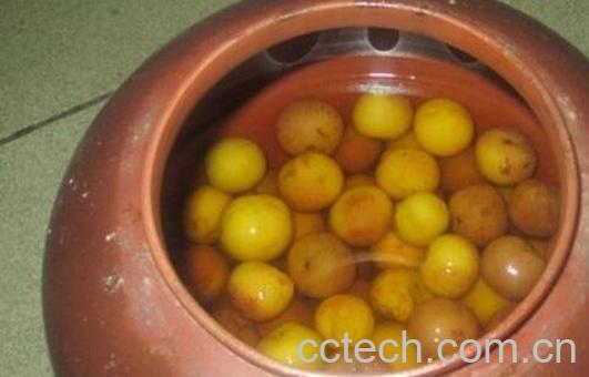 自制李子酒的危害 李子酒的做法-1