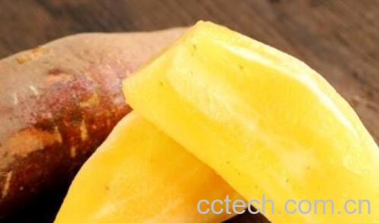 雪莲果的作用与功效及禁忌-0