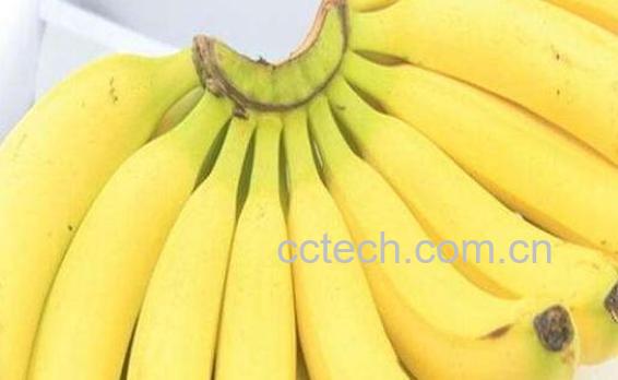 野蕉和香蕉有什么区别 吃野蕉的好处-0