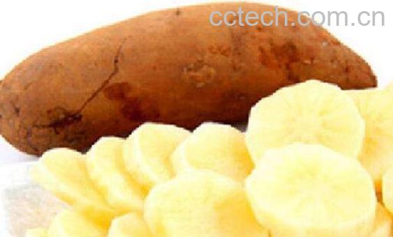 雪莲果的作用与功效及禁忌-1