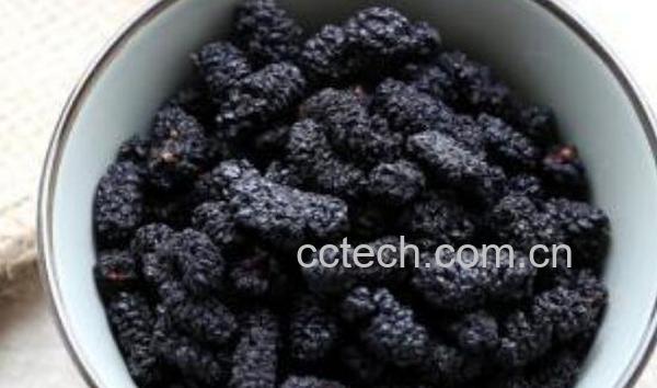 桑椹干泡茶的功效与作用-1
