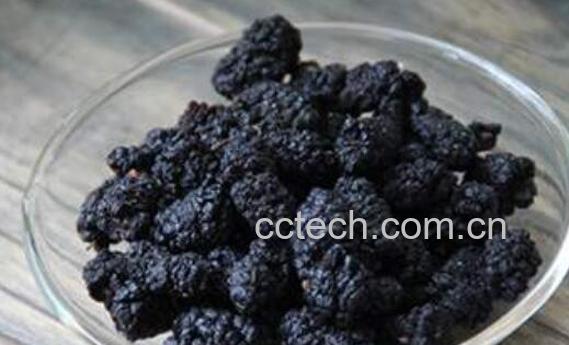 中药桑椹干的功效与作用-0
