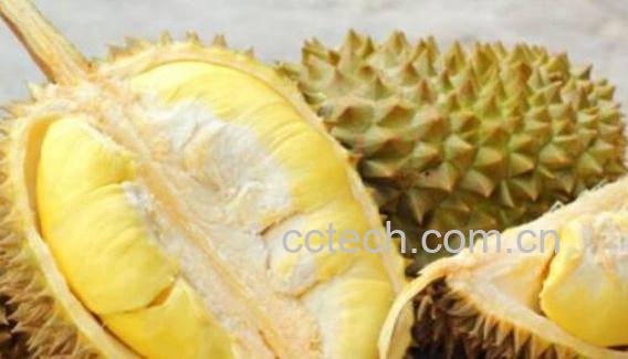 榴莲没熟打开后怎么办 榴莲太生剥开了怎么办-1