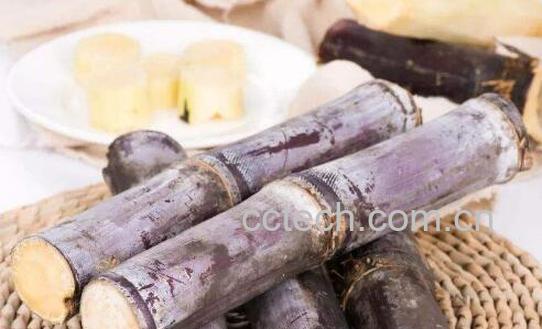 甘蔗的功效与作用及禁忌-0