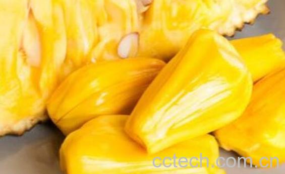 吃菠萝蜜的7大禁忌-0
