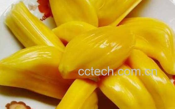 吃菠萝蜜的7大禁忌-1