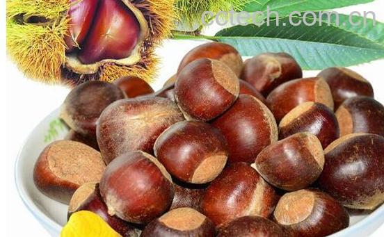 板栗的功效与作用及副作用-1