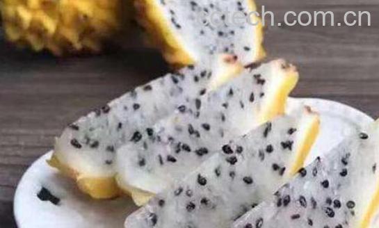 燕窝果的功效与作用及禁忌-1