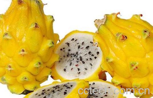 燕窝果的功效与作用及禁忌-0