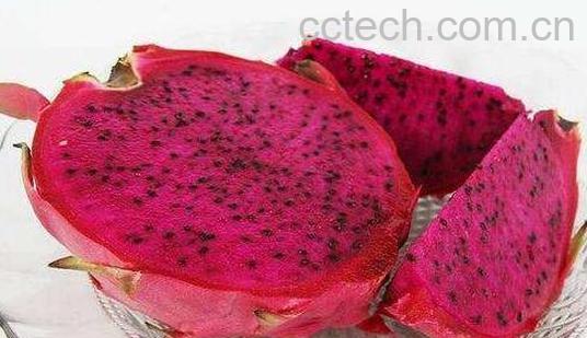 燕窝果与火龙果的区别 燕窝果怎么吃-0