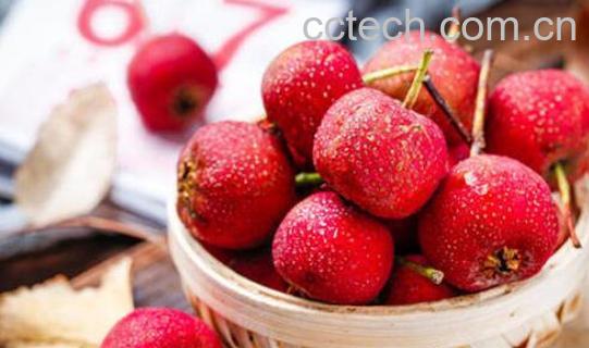 孕妇禁吃十大水果-0